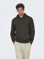 ONLY & SONS Onsceres Hoodie Sweat Noos