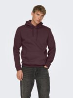 ONLY & SONS Onsceres Hoodie Sweat Noos - Image 5