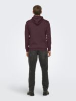 ONLY & SONS Onsceres Hoodie Sweat Noos - Image 6