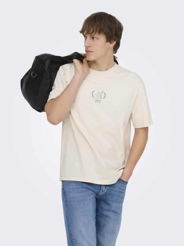 ONLY & SONS Onsgarfield Life rlx ss Lic tee